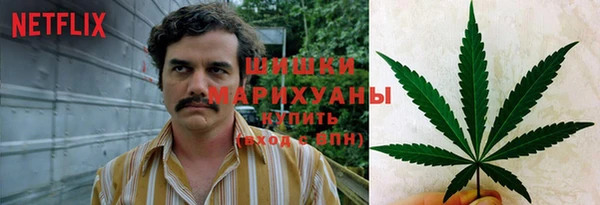 эйфоретик Дмитриев