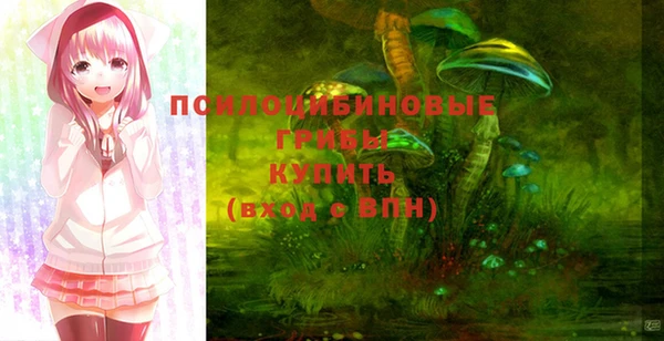 индика Елизово