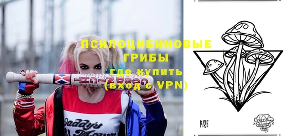 Альфа ПВП Дмитров