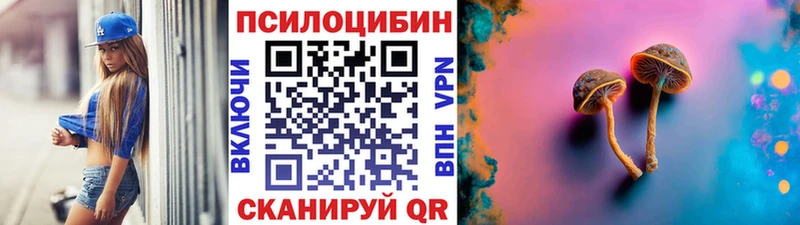 Купить где  Давлеканово  Псилоцибиновые грибы мицелий 